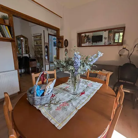 μπαλκόνι του αιγαίου/ Aegean Balcony شقة *