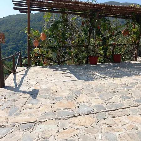 μπαλκόνι του αιγαίου/ Aegean Balcony דירה טסגרדה